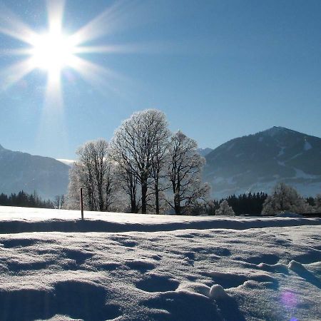 Apartament Blockhaus Royer Ramsau am Dachstein Zewnętrze zdjęcie