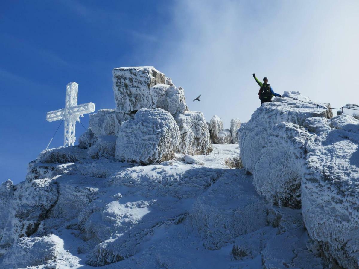 Apartament Blockhaus Royer Ramsau am Dachstein Zewnętrze zdjęcie